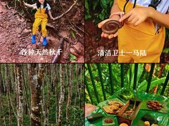 -西双版纳基诺山寨