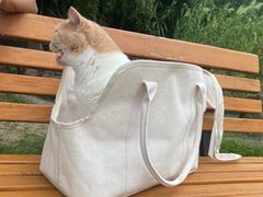 -瑞鹏宠物医院·宠保定点·心脏科·内科(御桥分院)