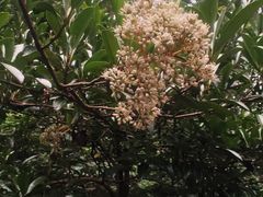 -御轩足道·SPA·养生·保健(瑞金北路店)