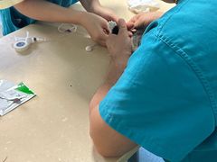 -爱牧宠物医院·猫专科·骨科·内窥镜(甪直店)