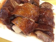 烧鹅-姚林轩