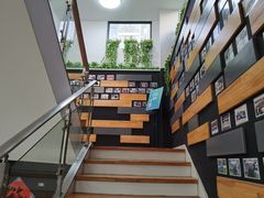 -奈斯宠物医院·核磁CT·异宠专科·内镜(中南店)