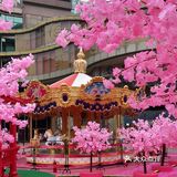 满树樱花朵朵开，花花世界的，出来逛街啊