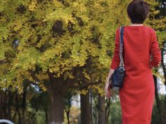 -昆山城市生态森林公园