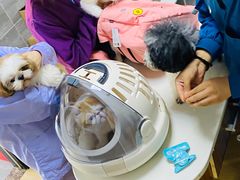 -美联众合宠物医院·爱萌分院·内外科·猫科中心