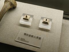 -鄂尔多斯博物馆