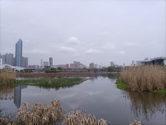 -月湖风景区