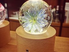 -二酉书店TOYOU BOOKS