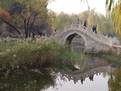 -近春园遗址