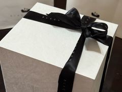 -BLACKSWAN黑天鹅(环球店)