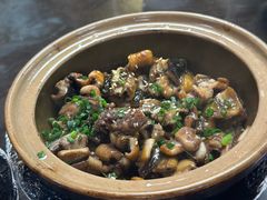 -红星光发煲仔饭(文海店)