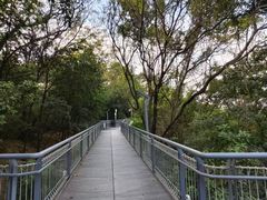 -佛山华盖山公园