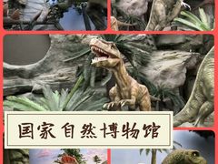 -国家自然博物馆