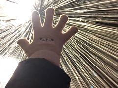 -北京三里屯CHAO酒店