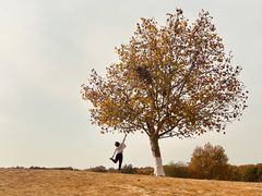 -多宾韩国料理(学衡路店)