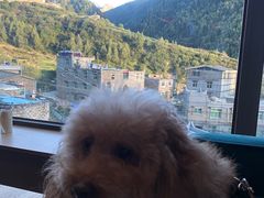 -四姑娘山阿巴郎·藏式花园餐厅