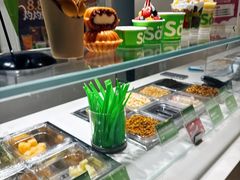 -Salud撒露欧洲冻酸奶(北苑上品店)
