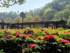 -幕燕滨江·长江观音景区