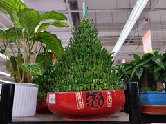 -大润发(梅兰东路店)