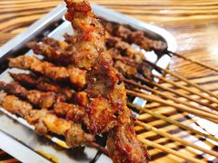 -民族烤羊·烤羊肉串·烤羊排(南城店)