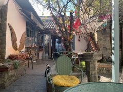 -喵屿·大理花园猫咖