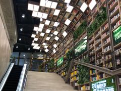 -当当书店(国泰广场店)