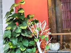 -古道村落(温汤店)