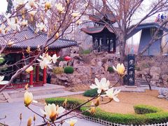 -碑林公园