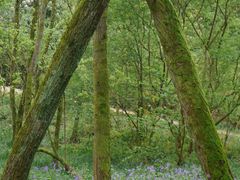 -西湖风景区-江洋畈生态公园