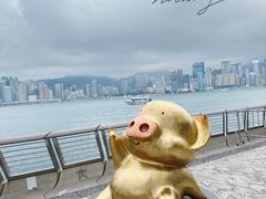 -星光大道