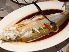 清蒸白水鱼-醉庐·新上海菜(南京西路店)