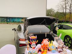 -枫花园汽车电影院(朝阳公园店)