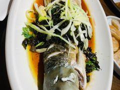 -七菜馆·东北菜·蒸饺(文体路店)