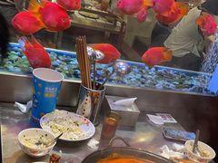 -朱光玉火锅馆(正弘城店)