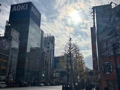 -秋叶原电器街
