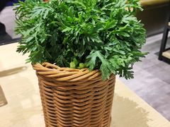 -羊来顺冰煮鲜羊铁锅烀羊肉(八卦岭店)