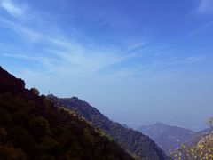 -少华山国家森林公园