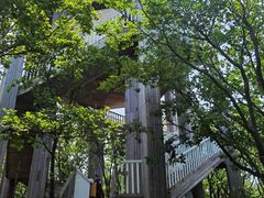 -帽儿山国家森林公园