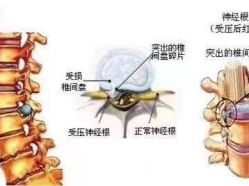-星港国际·Skin皮肤专研·皮肤管理