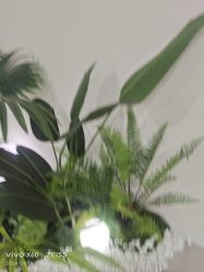 -HEYAN荷妍专业脱毛连锁机构
