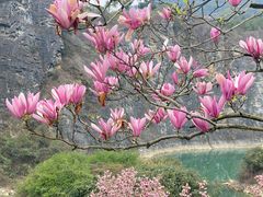 -铜锣山矿山公园