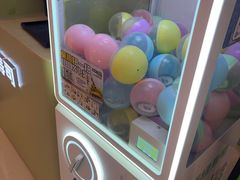 -禾绿寿司·定食·拉面·烧炸(宝安大仟里店)