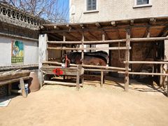 -清风小镇闯关东影视基地