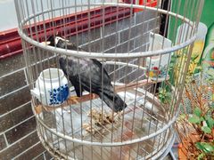 -五悦北平四季涮肉·烧烤(老商埠店)