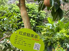 -云溪植物园