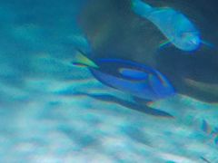 -沈阳海洋探索中心