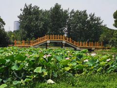 -艾溪湖湿地公园