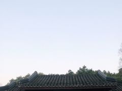-上海醉白池公园