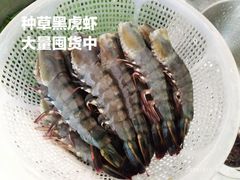-盒马鲜生(岭南新世界店)