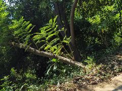 -广州市白云山风景名胜区